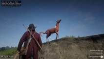 Ne pas attraper un cheval sauvage dans « Red Dead Redemption 2 »