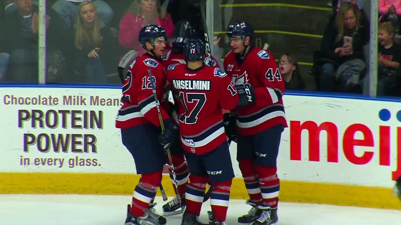 Idaho Steelheads 1 Kalamazoo Wings 3