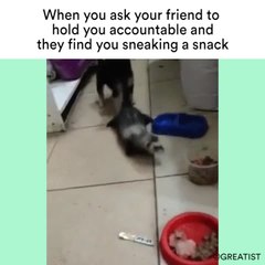 When you ask your friend to hold you accountable and they find you sneaking a snack