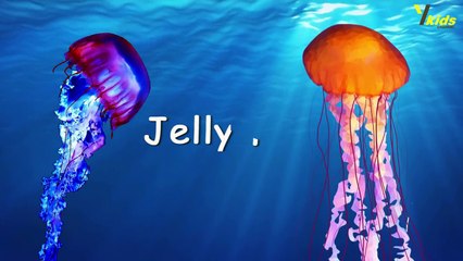 Learning Sea Animals Names - Water Ocean for Children -Learning For Kids.