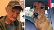 Dog shoots hunter in the back in freak hunting accident