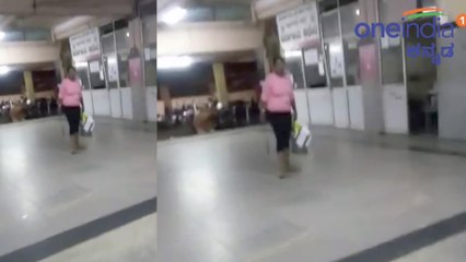 ಚಿಕ್ಕಮಗಳೂರಿನಲ್ಲಿ ಮಹಿಳೆಯ ವಿಚಿತ್ರ ವರ್ತನೆಗೆ ಬೆಚ್ಚಿ ಬಿದ್ದ ಜನ | Oneindia Kananda