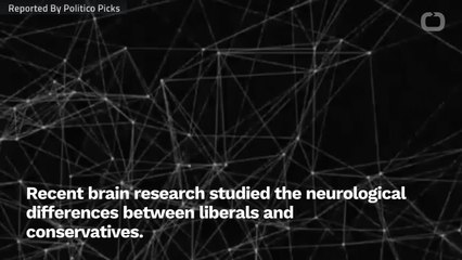 Download Video: Liberals And Conservatives Have Different Brains