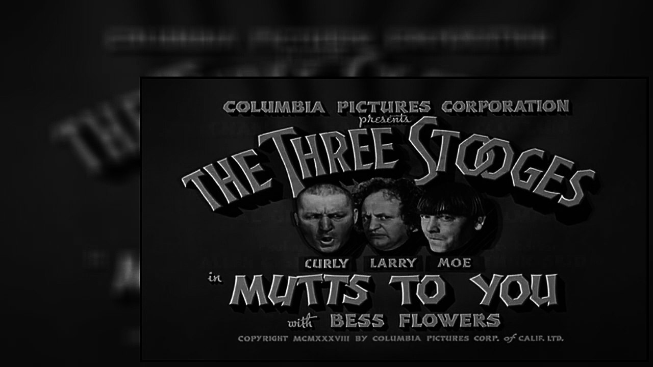 The Three Stooges S05E07 - Mutts to You