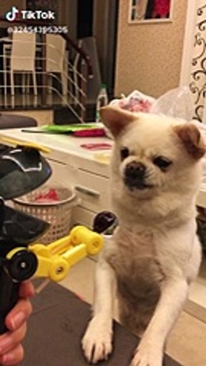 he attack