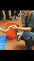 Horrified young people do not catch cobra and slaughter
