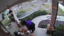 Woman Steals all Halloween Candy Kept Outside House