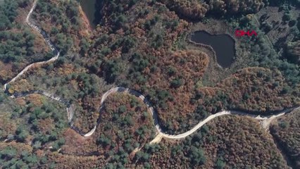 Yalova Ormanlarında Sonbahar Güzelliği