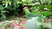 Primitive Technology- Wild Boy Found Komodo Nest In Wild And Play With Komodo Very Happy