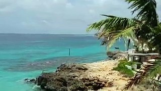 Palms swaying, waves crashing. Another beautiful day in Anguilla.Can you guess the room number?