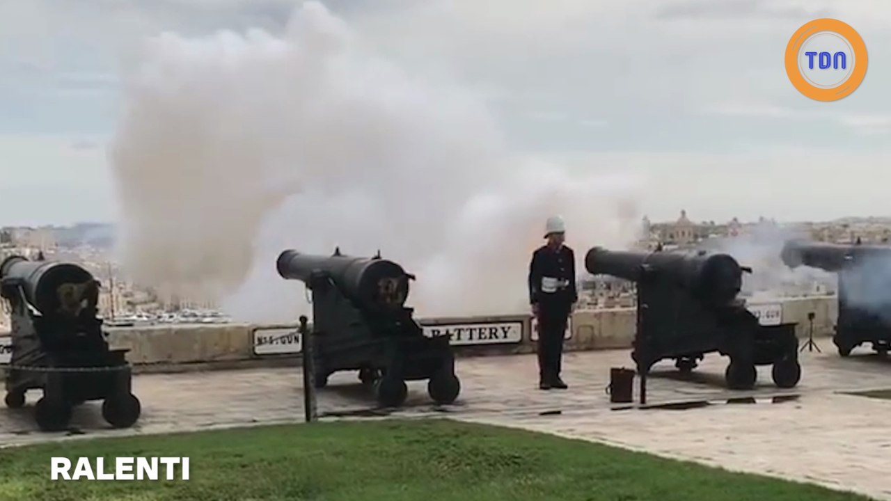 Un pigeon fait une mauvaise rencontre avec... un coup de canon !