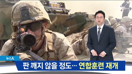 판 깨지지 않을 정도…연합훈련 6개월 만에 재개