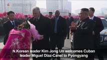 N. Korean leader meets Cuban president in Pyongyang