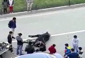Bitkin Düşen At Yere Yığıldı