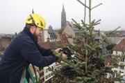 Marché de Noël: Strasbourg vue du sommet du sapin