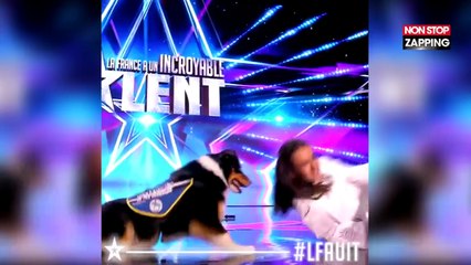 LFAUIT : Le touchant numéro d’Emma de sa chienne secouriste (Vidéo)