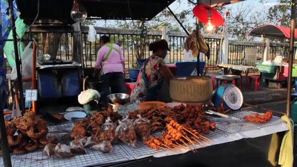 Grippe aviaire : sur les traces du virus