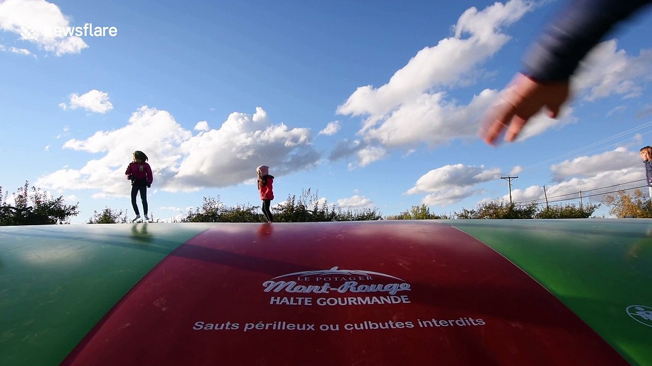 YouTuber dad tries to impress kids by doing backflips on inflatable fun pad
