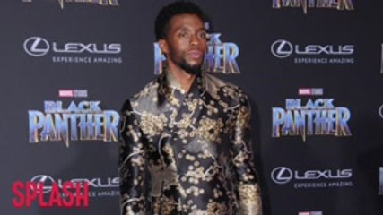 Black Panther to get Hollywood Film Award