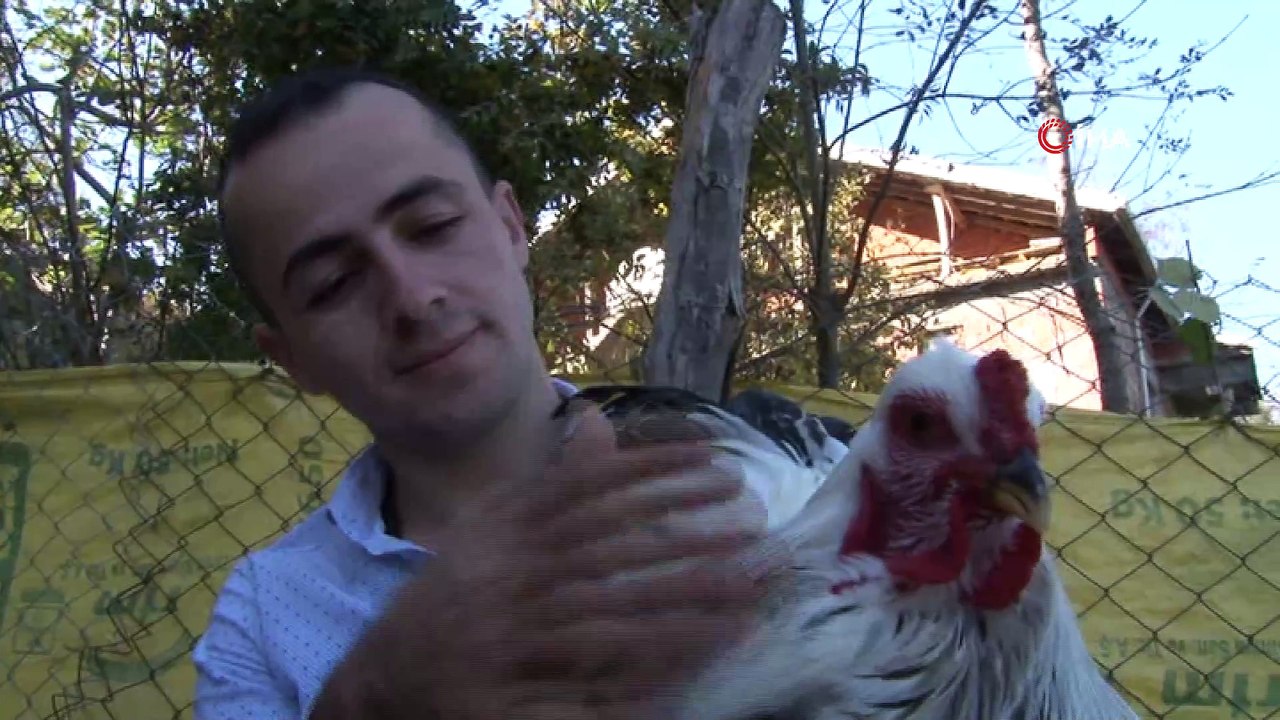 3 yıl önce gördüğü Brahma cinsi tavukları yaygınlaştırmayı amaçlıyor