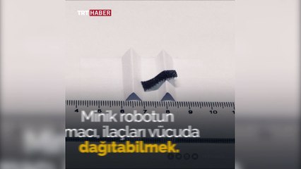 Tırtıl gibi hareket ederek ilaç taşıyan robot