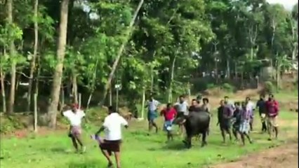 ടോവിനോ ചെയ്ത ഒരു കിടിലം സാഹസം ഡ്യൂപ്പില്ലാതെ | Tovino Stunt Without Dupe