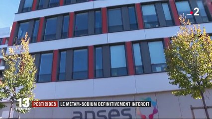 Agriculture : le pesticide métam-sodium définitivement interdit