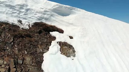 Un ourson trop mignon glisse sur la neige en voulant rejoindre sa maman