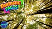 FIRST NATIONS' CONSERVATION - Mini Fantastic Facts