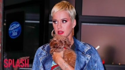 Katy Perry's song of mental isolation