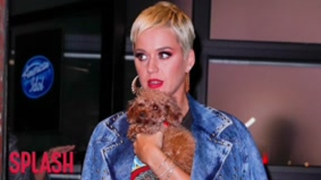 Katy Perry's song of mental isolation