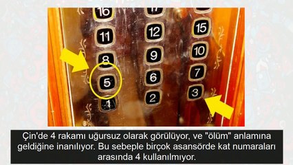 Bu görüntüleri sadece o ülkede görebilirsiniz! İşte Dünya'nın en tuhaf olayları