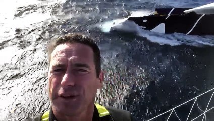 Sébastien Josse sur le "Maxi Edmond de Rothschild" le 5 novembre 2018