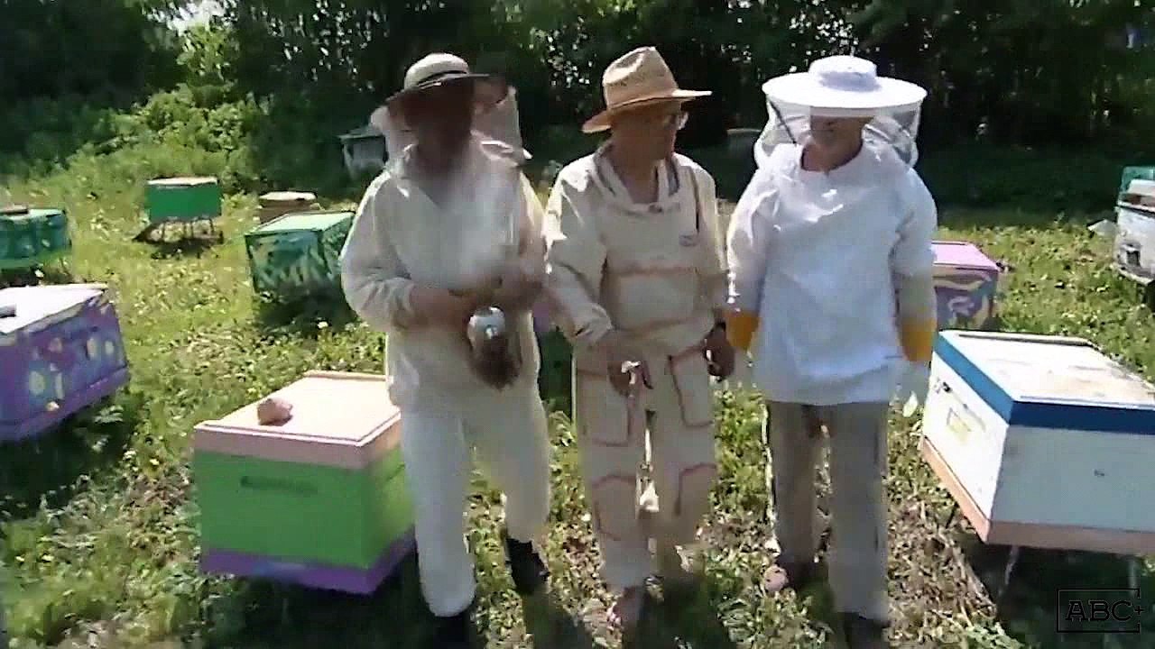 Производство полистиролбетон блоков, г.Южноукраинск