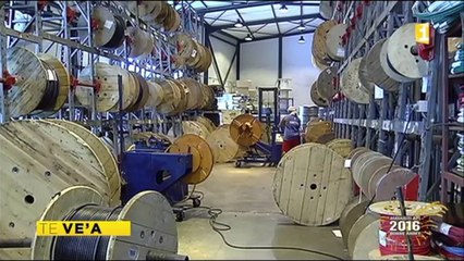 Fare toa 'opanira'a matahiti Ve'a_Tahiti_P1_02_01_2016