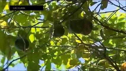 I Ua Huka Ora_nō_te_mau_motu _P1_05_02_2017