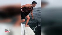 Pescador vê baleia jubarte presa em uma rede e salta em suas costas como um herói