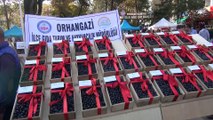 Orhangazi'de festival heyecanı yaşandı - BURSA