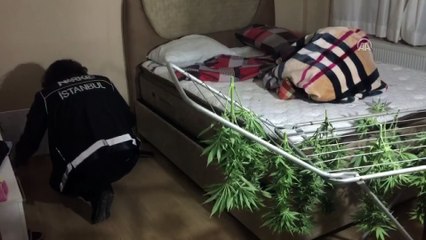 Beykoz'da villaya uyuşturucu operasyonu - İSTANBUL