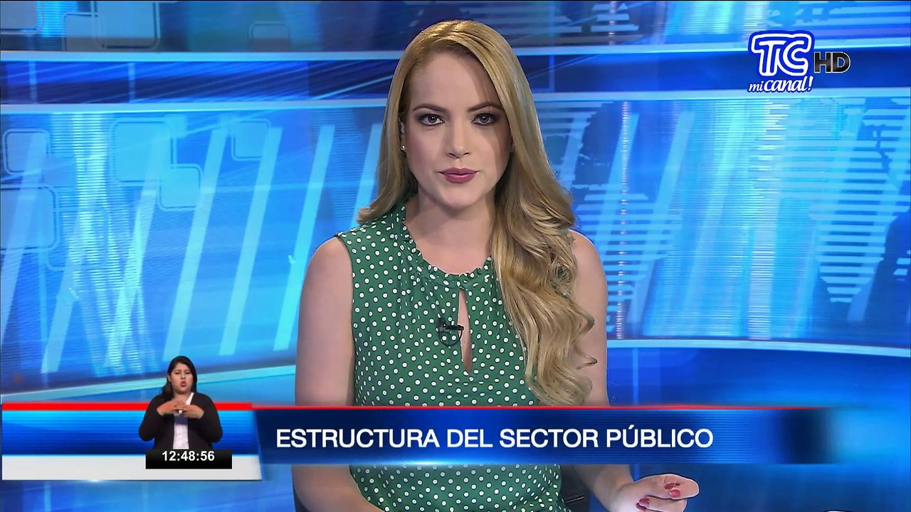 Estructura del sector público
