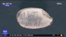 [투데이 영상] '쌀알'마다 새긴 만화 명장면