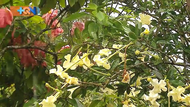 mqn-pareja-adultos-mayores-051118