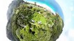 Island life in lush technicolor #banyantreeseychelles #sanctuaryforthesenses #senseofplace #wonderfulplaces #lovelylocation #luxuryhotel #wanderlust #stunningvi