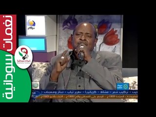 ‫الفنان / نجم الدين الفاضل   ‬‎