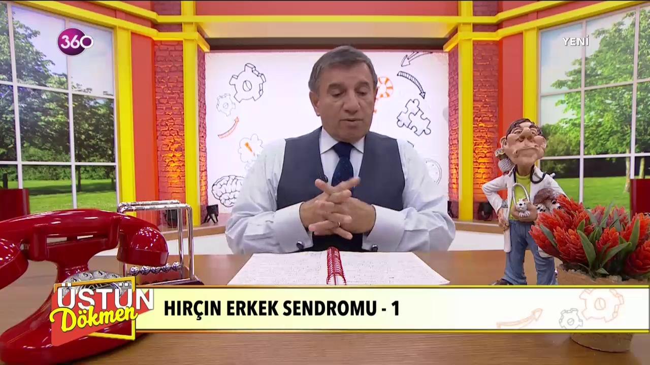 Hırçın Erkek Sendromu - 1