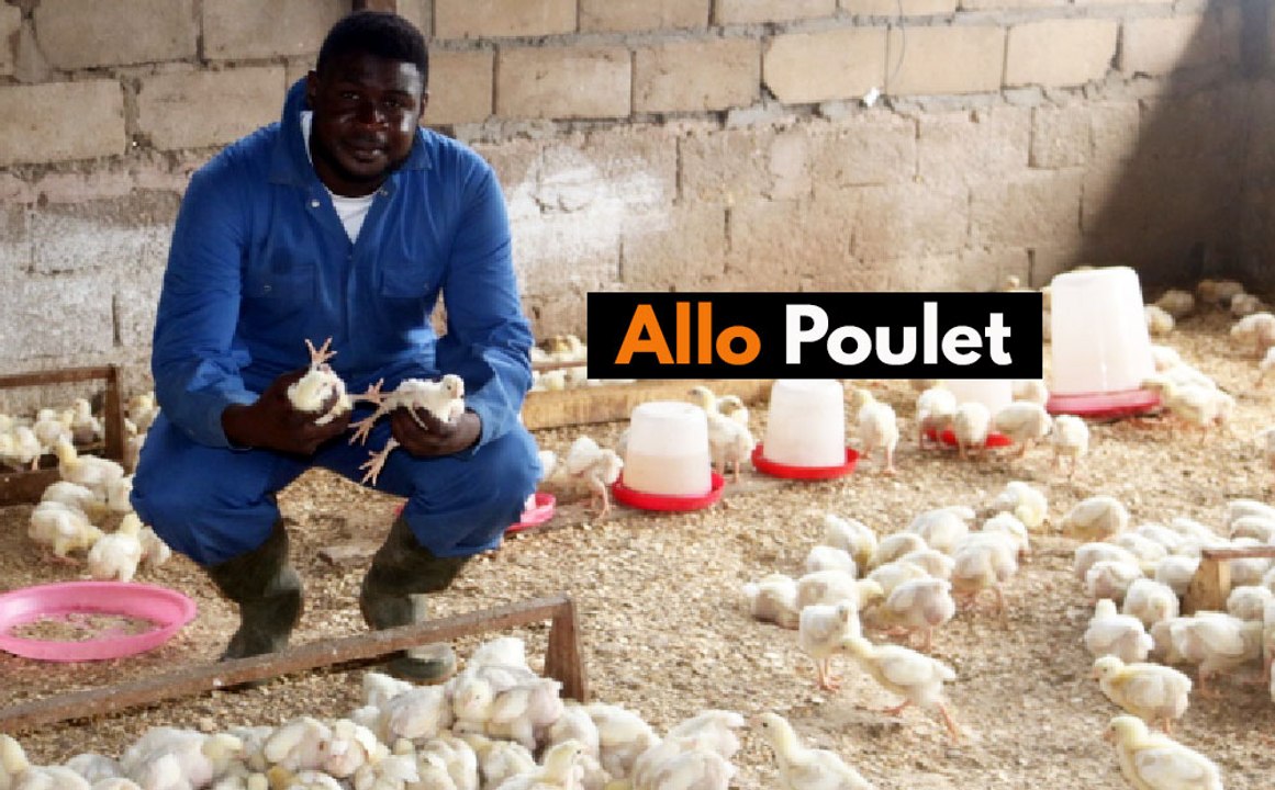 Cameroon: Allô Poulet