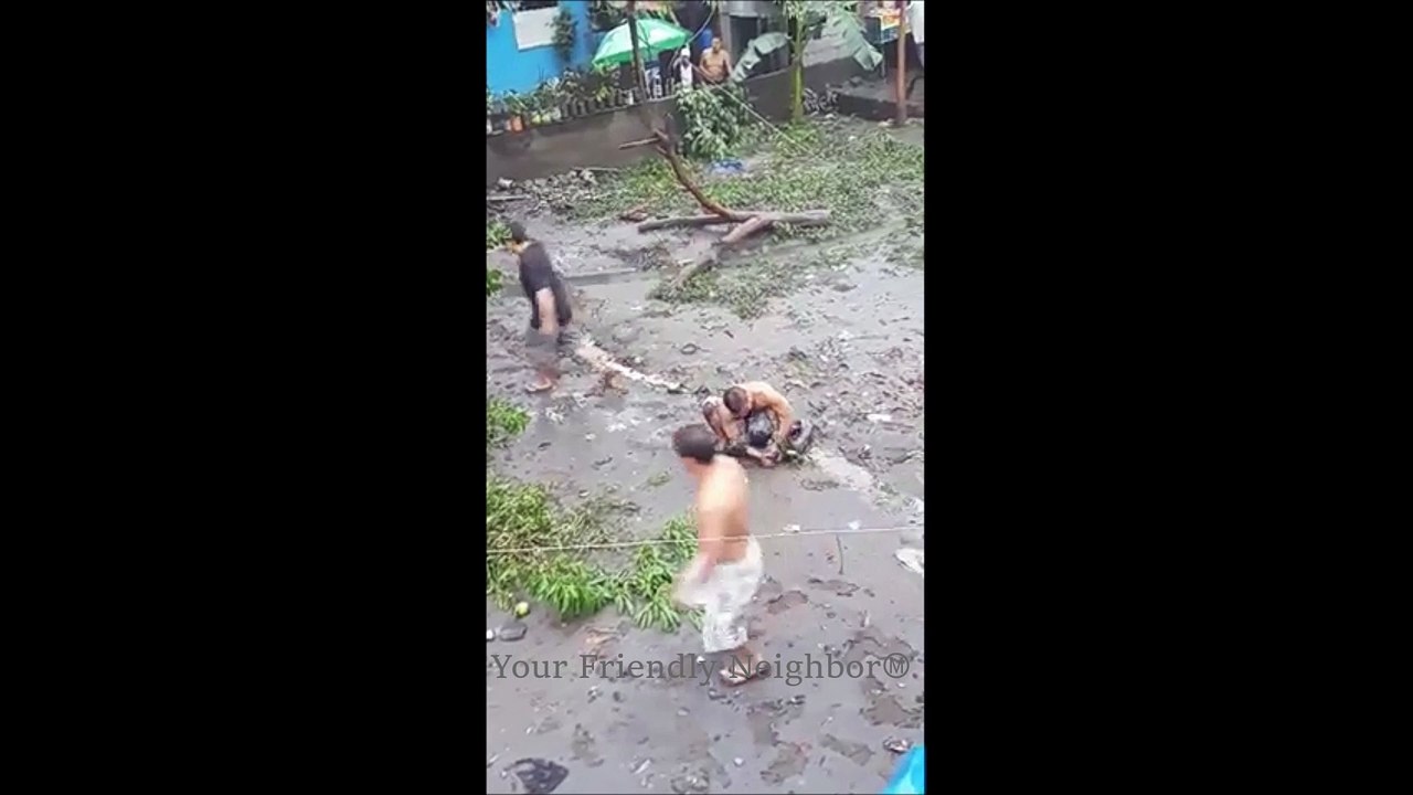 2 Phytons Caught By A Single Man Using Bare Hands