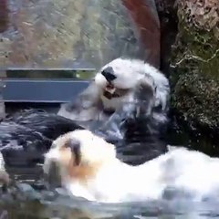 I need this level of relaxation in my life