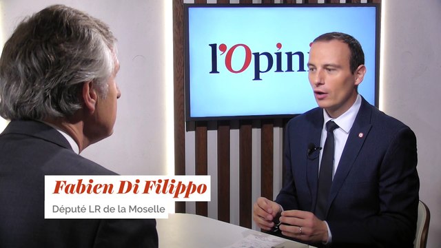 Gilets jaunes: «Je soutiens ce mouvement qui cristallise un ras-le-bol», affirme Fabien Di Filippo (LR)