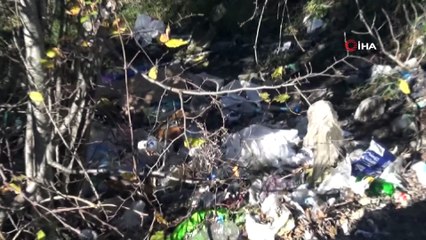 Bürük Köyünde Hayat Durma Noktasına Geldi! Köylülerden Uyuz Köpek İddiası!